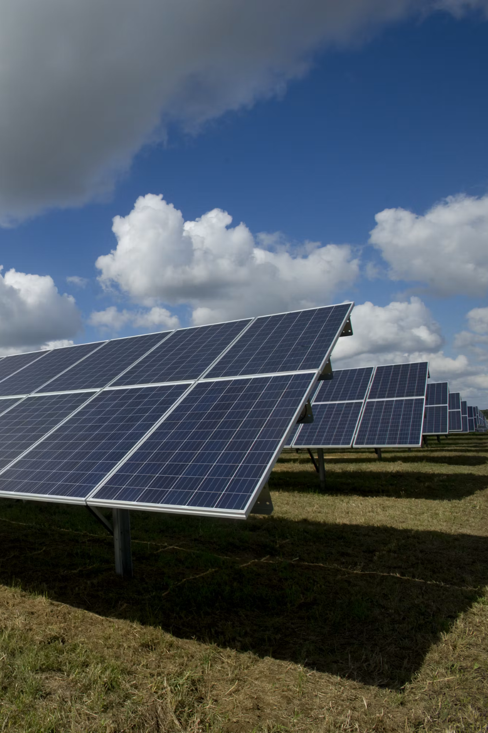 Fuel cells and electrolyzers storing solar and wind power as green hydrogen